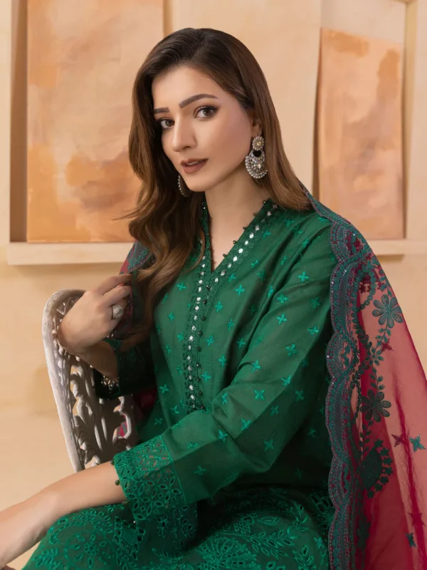 3 Piece Net Suit-Embroidered (Unstitched) - Image 5