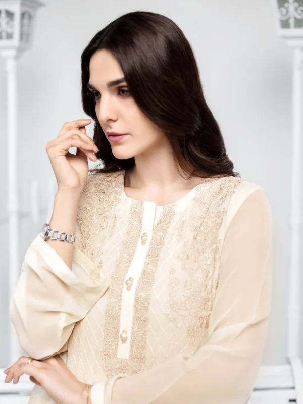 Chiffon Shirt-Embroidered (Unstitched) - Image 3