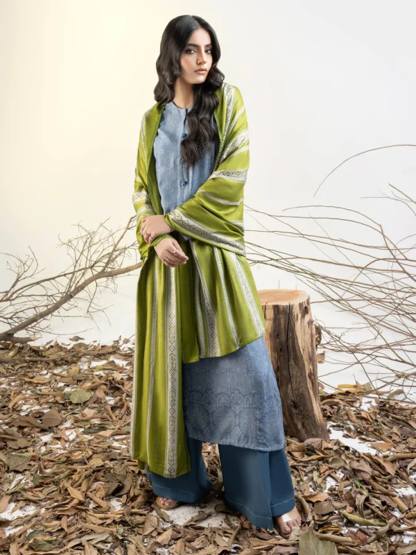 2 Piece Linen Suit-Printed(Unstitched) - Image 5